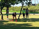 槌球5
